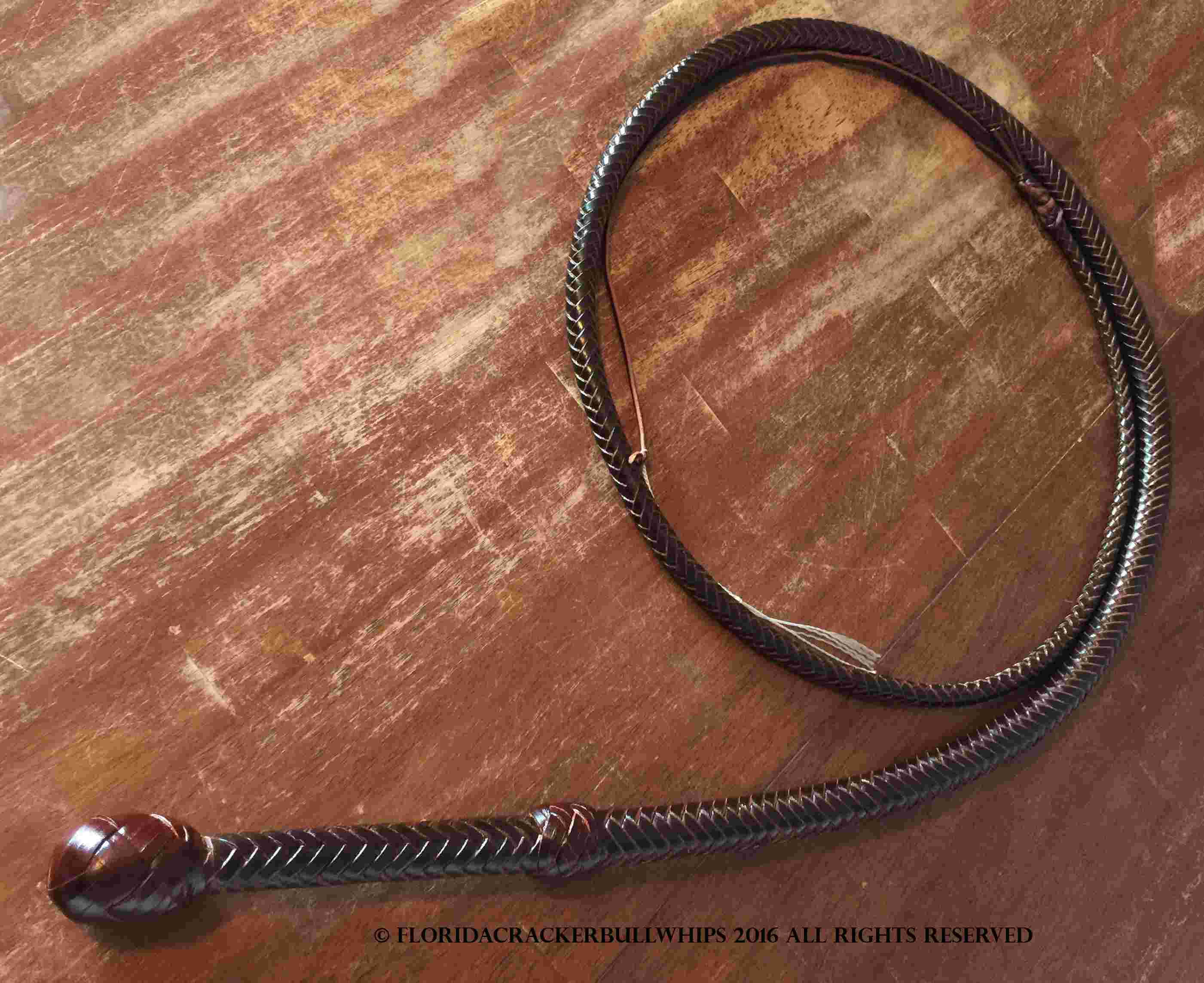 8 Foot 12 plait latigo cow hide bullwhip with 9" handle.