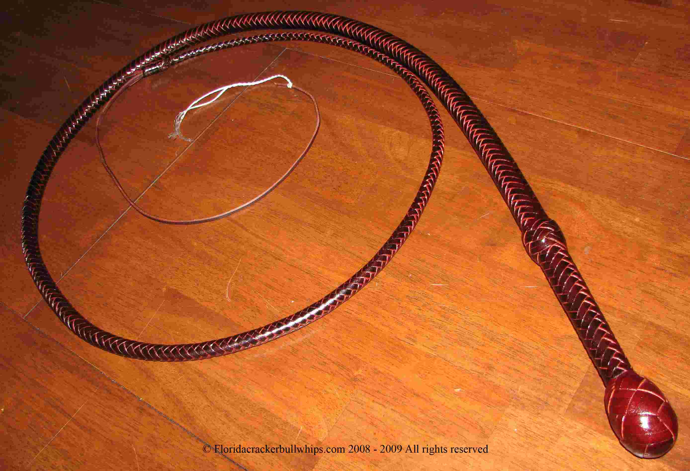 8 Foot12 plait latigo cow hide bullwhip with 9” handle.